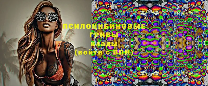 где продают   Кисловодск  Галлюциногенные грибы MAGIC MUSHROOMS 