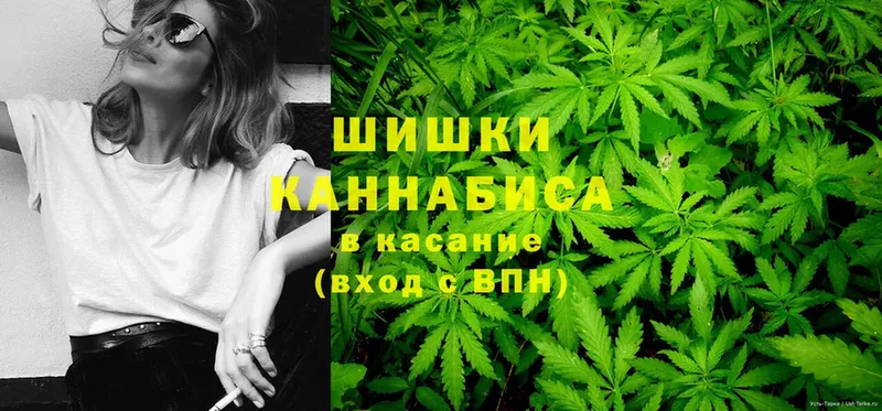 наркотики  мега сайт  Шишки марихуана THC 21%  Кисловодск 